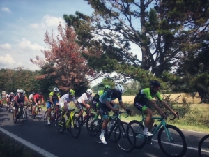 immagine di ciclisti su strada