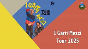 locandina Gatti Mezzi