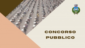 sfondo con persone che sostengono un concorso, scritta concorso pubblico, logo comune di gavorrano