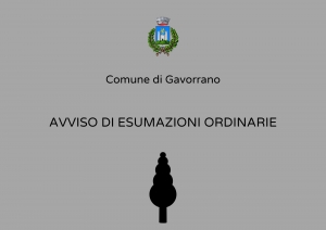 sfondo grigio, logo comune di gavorrano, scritta avviso esumazioni ordinarie in nero, sfondo grigio
