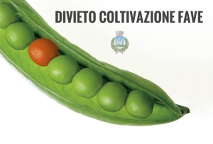 Divieto coltivazione fave