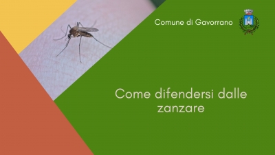 triangolo giallo in alto a sinistra, triangolo arancio in basso a sinistra, riquadro verde, immagine di zanzara, logo comune di gavorrano, scritta come difendersi dalle zanzare