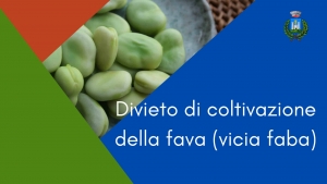 immagini baccelli sgusciati, scritta divieto coltivazione fave