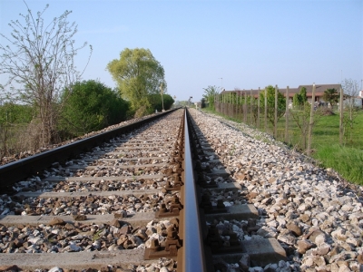 Ordinanza sindacale per taglio rami e alberi posti in proprietà privata, interferenti con la sede ferroviaria