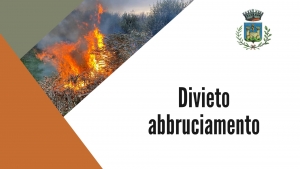 triangolo verde, triangolo arancio, scritta divieto di abbruciamento, loco comune, fuoco di fronde ulivo